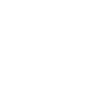 Shield with Checkmark Icon